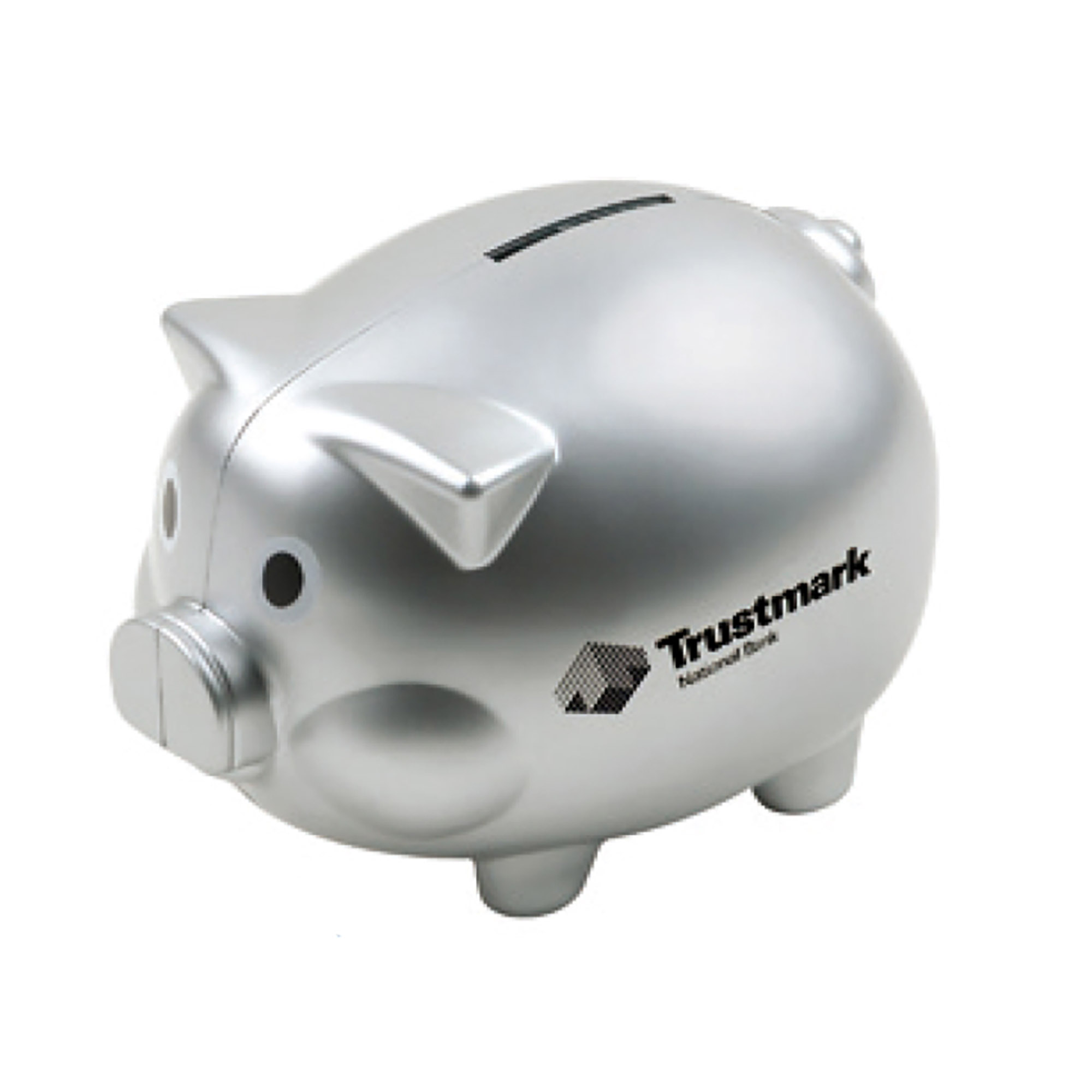 Coin Bank Pig Shape with Silver Image